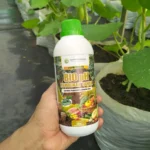BioPh – Agen Hayati Pembenah Tanah, Penetral pH & Penggembur Tanah | Tanaman Sehat, Hasil Meningkat