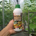 SamBoost Starter Fermentasi Alami – Pengganti EM4 | Aktivator POC, Kompos & MOL Organik