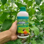 BioSulfur – Pestisida Organik Insektisida & Fungisida 250ml | Ramah Lingkungan & Aman Tanaman