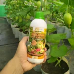 Bioganik Fase Generatif – Pupuk Organik Cair Perangsang Bunga & Buah | Panen Lebat, Manis & Berkualitas