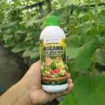 Bioganik Fase Vegetatif – Pupuk Organik Cair Penyubur Daun & Akar | Tanaman Sehat, Panen Melimpah